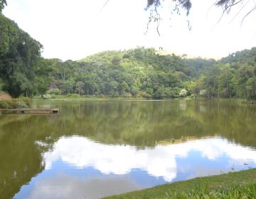 Comitê Covid-19: Parque da Lajinha será reaberto e Juiz de Fora permanece na Onda Amarela