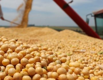 Valor Bruto da Produção agropecuária mineira deve ultrapassar R$ 82 bilhões em 2020