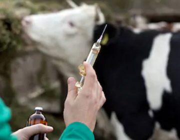 Campanha de vacinação antirrábica na zona rural termina nesta terça-feira