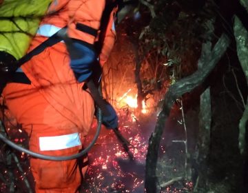 Incêndio atinge área florestal em Ibitipoca