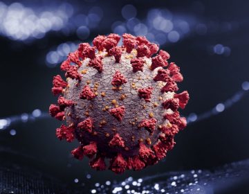 Software desenvolvido na UFJF ajuda no combate à Covid-19