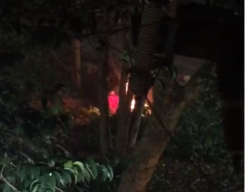 Guarda Municipal atende denúncia de fogo no interior do Parque Halfeld