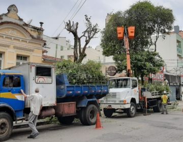 Conservação de praças, canteiros centrais e trevos são realizados pela Empav