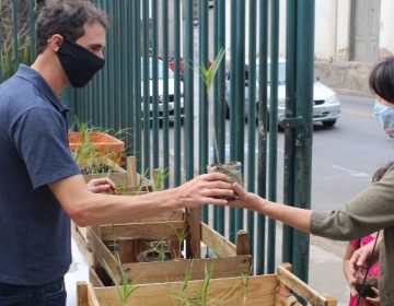 Museu realiza doação de mudas na sexta-feira