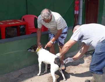 Campanha de vacinação antirrábica acontece na Zona Urbana de JF neste sábado