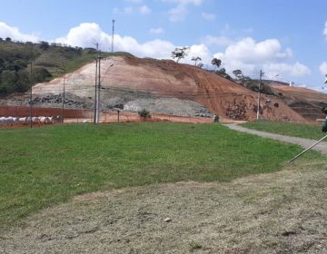 Equipes da Empav atuam em podas, cortes e manutenção de praças