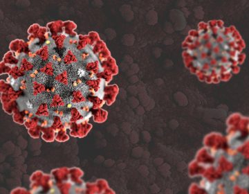 Covid-19: Estudo da UFJF aponta crescimento do número de casos no município