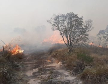 Ministério Público de Minas Gerais instaura inquérito para apurar incêndio em Ibitipoca