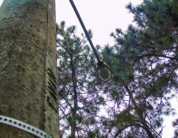 Projeto de Lei que dá maior transparência aos serviços de iluminação pública, é aprovado na Câmara Municipal