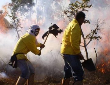 Estado registra redução da área queimada em unidades de conservação