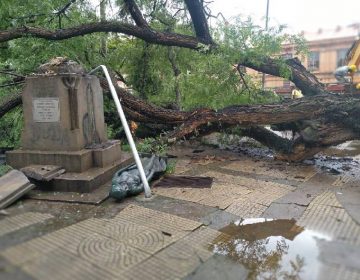 Defesa Civil obteve oito ocorrências referentes aos danos causados pela forte chuva