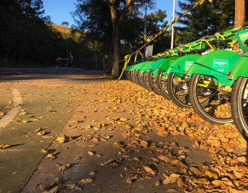 Pró-reitoria de Infraestrutura e Gestão da UFJF publica edital para Sistema Público de Bicicletas Compartilhadas