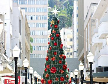 Por conta da pandemia, compras de natal devem crescer pela internet