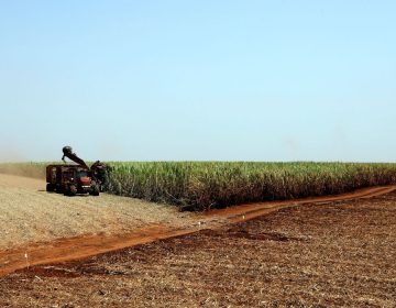 PIB cresce 7,7% do segundo para o terceiro trimestre, diz IBGE