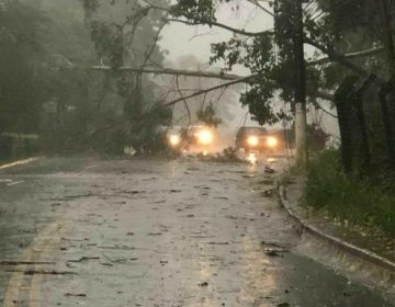 Município registra 26 ocorrências decorrentes da chuva, segundo Defesa Civil