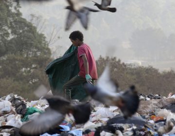 Trabalho infantil cai em 2019, mas 1,8 milhão de crianças esteve nessa situação
