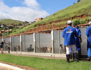 Secretaria de Saúde passa a ser gestora do Canil Municipal