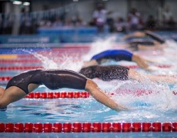 Seleção brasileira de natação convocada para o sul-americano terá jovens talentos
