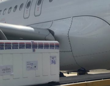 Minas recebe mais 87.600 doses de vacinas contra a covid