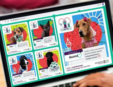 Prefeitura lança site para adoção de animais do Canil Municipal