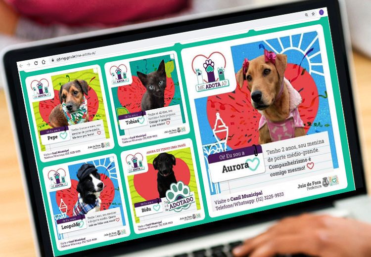 Prefeitura lança site para adoção de animais do Canil Municipal