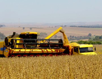 Previsão da safra 2021 é de 263,1 milhões de toneladas, 3,5% maior que a de 2020