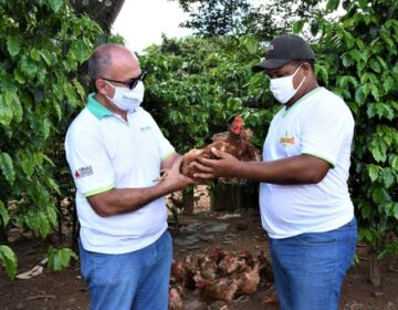 Prazo de validade da DAP é prorrogado por causa da pandemia