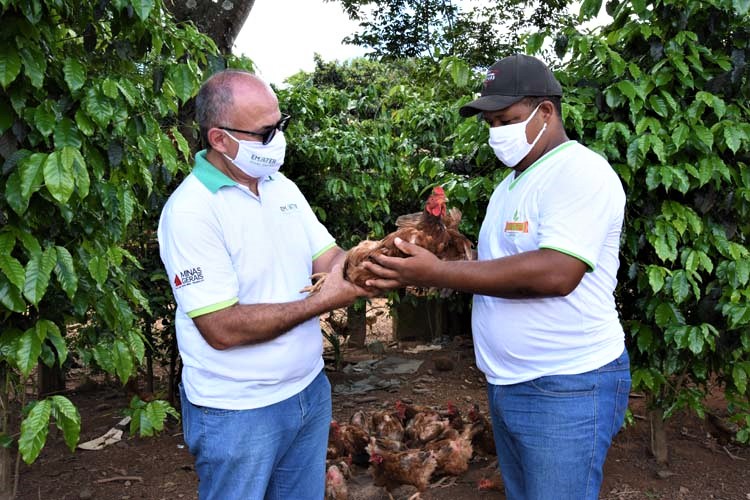 Prazo de validade da DAP é prorrogado por causa da pandemia