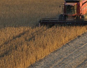 Minas mantém expectativa de recorde na safra de grãos 2020/2021