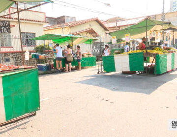 Após atuação de vereadores, feiras livres são liberadas para venda de alimentos durante lockdown