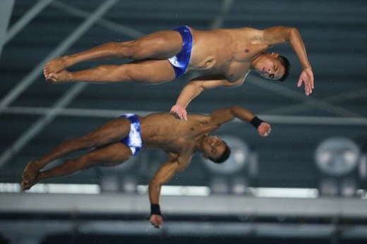 Seleção de saltos ornamentais conquista cinco medalhas no Sul-Americano