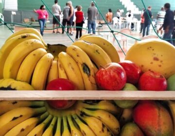 Feirantes doam frutas para trabalhadores voluntários da Campanha de Vacinação no Sport