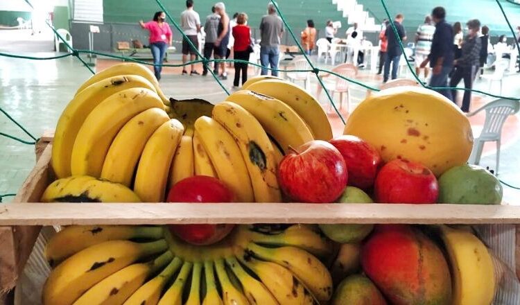 Feirantes doam frutas para trabalhadores voluntários da Campanha de Vacinação no Sport