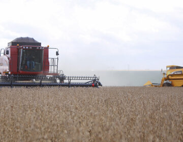 Com 264,9 milhões de toneladas, safra 2021 pode superar recorde em 4,2%
