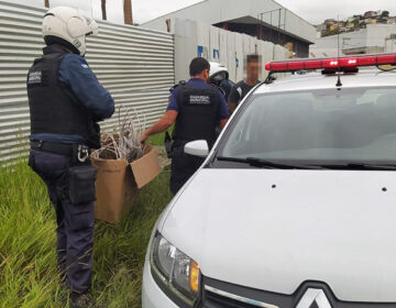 Furto de fiação no Hospital Regional é flagrado pela Guarda Municipal