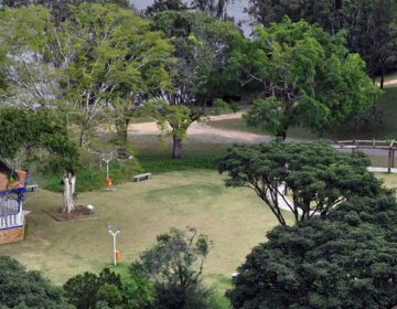 Será reaberto neste sábado, dia 19, o Parque da Lajinha