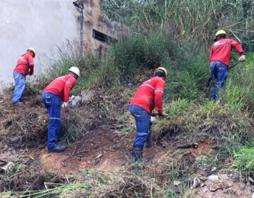 Cerca de 60 metros de redes de esgoto são remodelados pela Cesama no Bosque dos Pinheiros