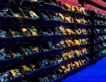 A dois meses da abertura dos Jogos Paralímpicos, Brasil ajusta logística e prepara aclimatação em Hamamatsu