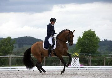 João Vitor Marcari Oliva representará o Brasil nos Jogos de Tóquio no adestramento