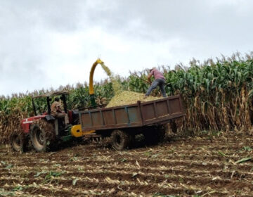 Inscrições para suporte no preparo de solo e plantio terminam nesta quinta-feira, dia 29