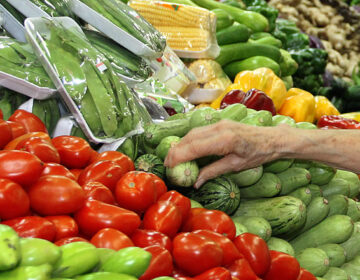 Feiras livres de bairros voltam a funcionar com todas as barracas