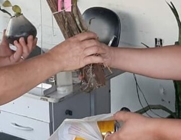 Projeto de conscientização ambiental e geração de renda é promovido pelo Cras