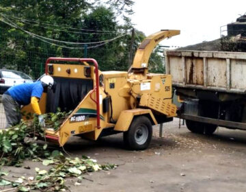 PJF desenvolve maneiras de reaproveitamento de podas de árvores