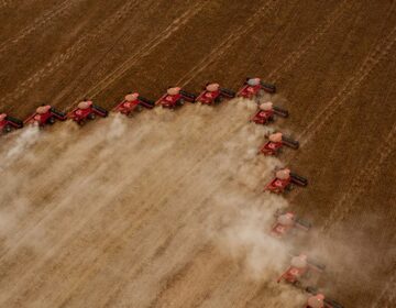 Ipea: exportações do agronegócio sobem 20,9% no 1º semestre