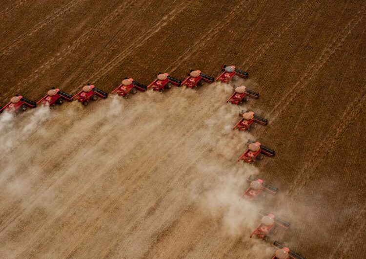 Ipea: exportações do agronegócio sobem 20,9% no 1º semestre