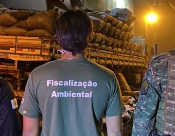 Governo realiza Operação Lastro III para combater comércio ilegal de carvão