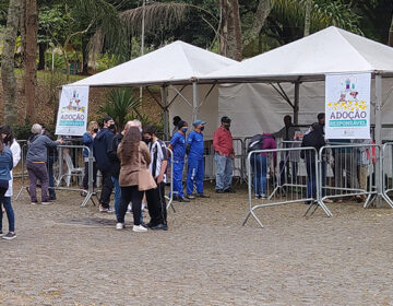 Primeiro evento de adoção do ano garante novo lar para animais do Canil Municipal