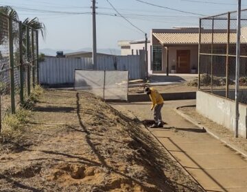 Escolas Municipais recebem equipes da Empav para serviços de zeladoria