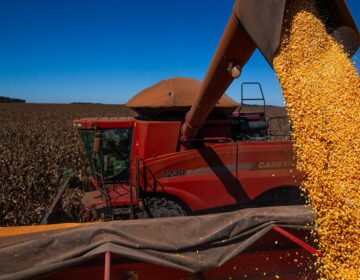 Confiança do agronegócio tem alta no segundo trimestre