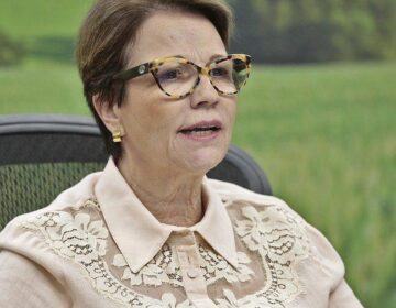 País pode ser principal player para investimentos verdes, diz ministra